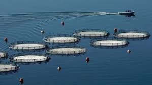 Μέτρο 3.4.4 – «Μεταποίηση προϊόντων Αλιείας και Υδατοκαλλιέργειας».